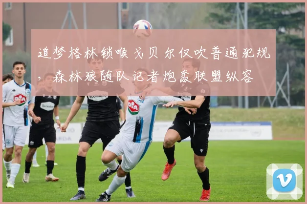 追梦格林锁喉戈贝尔仅吹普通犯规，森林狼随队记者炮轰联盟纵容